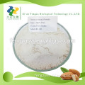 100% Pure Almond Powder Almond Kernel Flour
